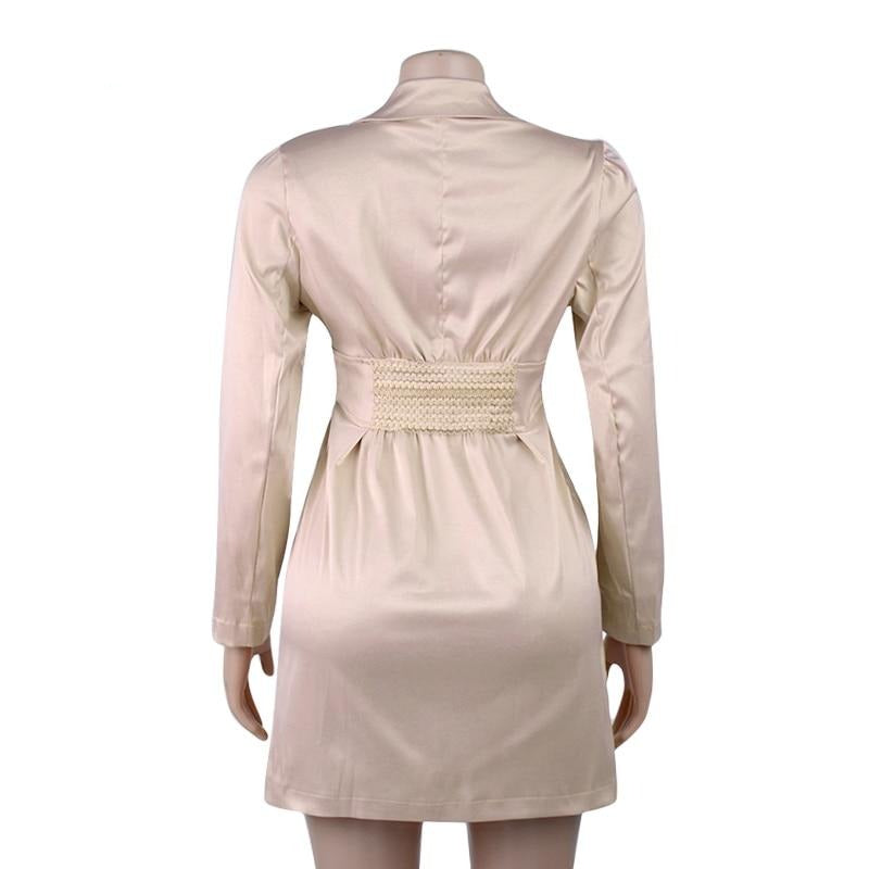 Women Turn-Down Collar Long Sleeve Mini Dress